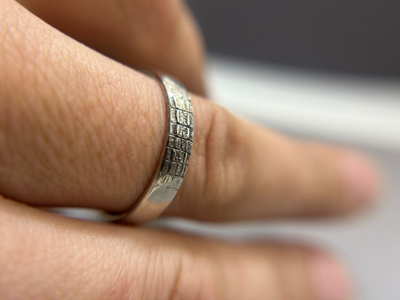 croc ring-06-12-08-51.jpeg